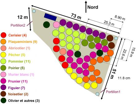 Plan_Verger12-03-2010.jpg